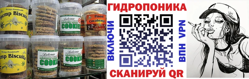 где найти наркотики  OMG зеркало  Canna-Cookies конопля  Нелидово 