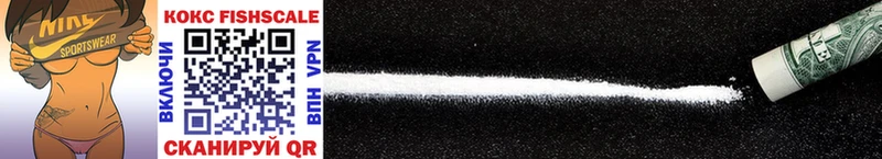 COCAIN FishScale  купить наркотик  Нелидово 