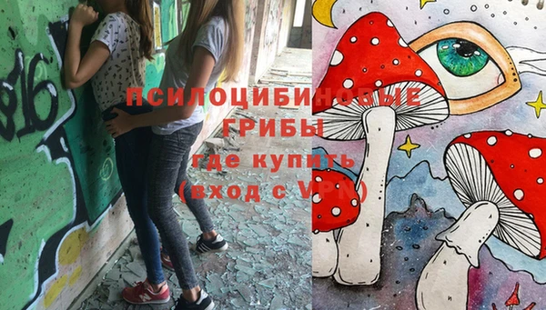 ПСИЛОЦИБИНОВЫЕ ГРИБЫ Алзамай