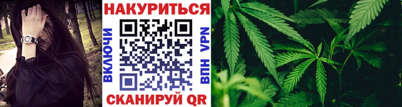Каннабис план  магазин продажи наркотиков  Нелидово 